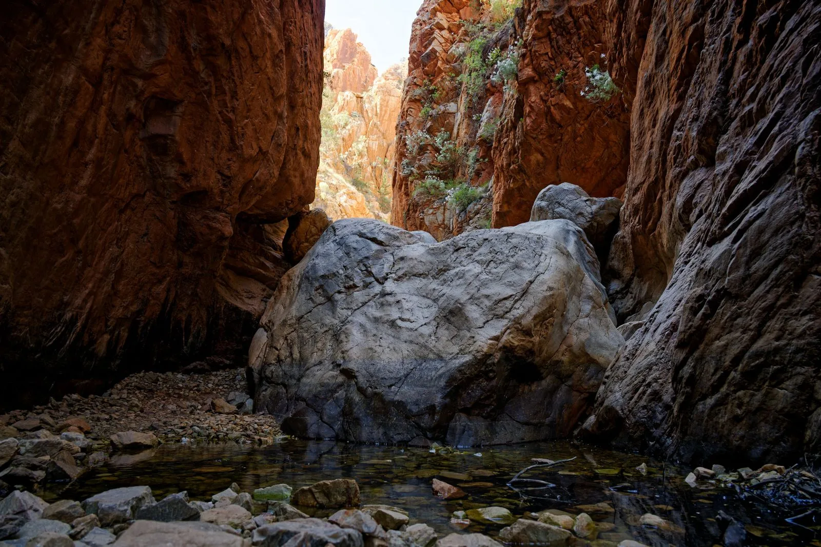 Paysage de canyon aux roches rouges dans le Centre australien